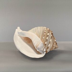Oil Painting 'Seashell' 30cm x 24cm