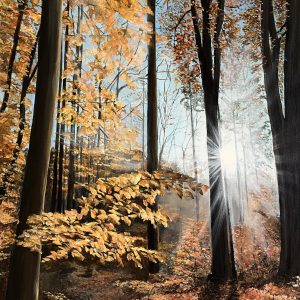 Acrylic Painting 'Nature's Treasure' 16 inches x 12 inches