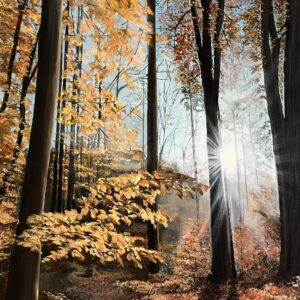 Hand Signed, Limited Edition Print 'Nature's Treasure' 42cm x 30cm