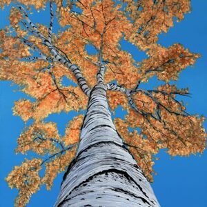 Acrylic Painting 'Ascension' 40cm x 30cm