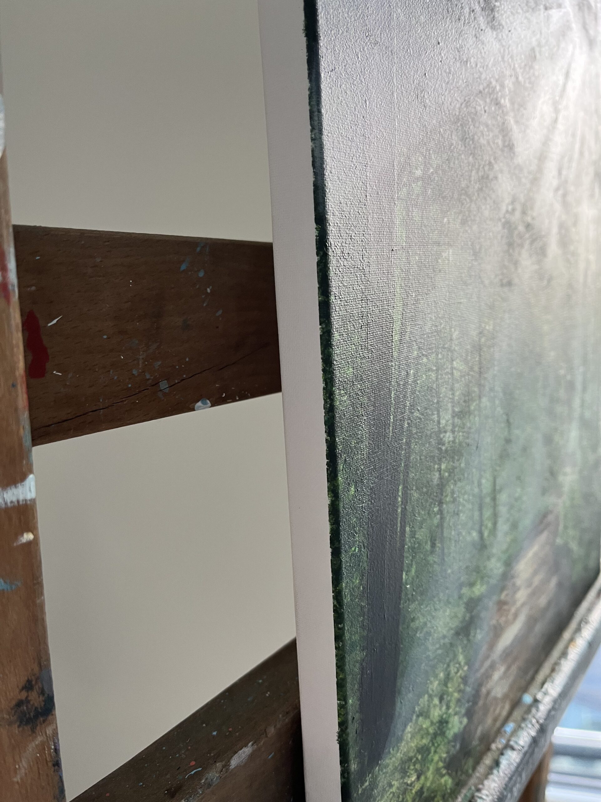 Acrylic Painting 'Nature's Secret' 40cm x 30cm - Image 4