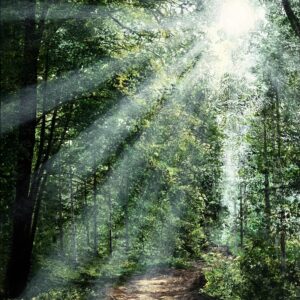 Acrylic Painting 'Nature's Secret' 40cm x 30cm