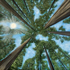 Oil Painting 30cm x 30cm 'Skyward'