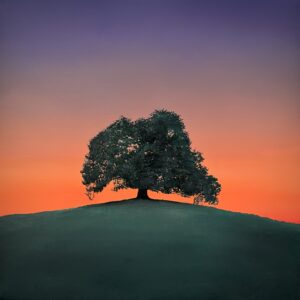 Oil Painting 30cm x 30cm 'Twilight'