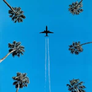 Oil Painting 'Flying High' 50cm x 40cm