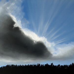 Oil Painting 'Light in the Dark' 61cm x 46cm