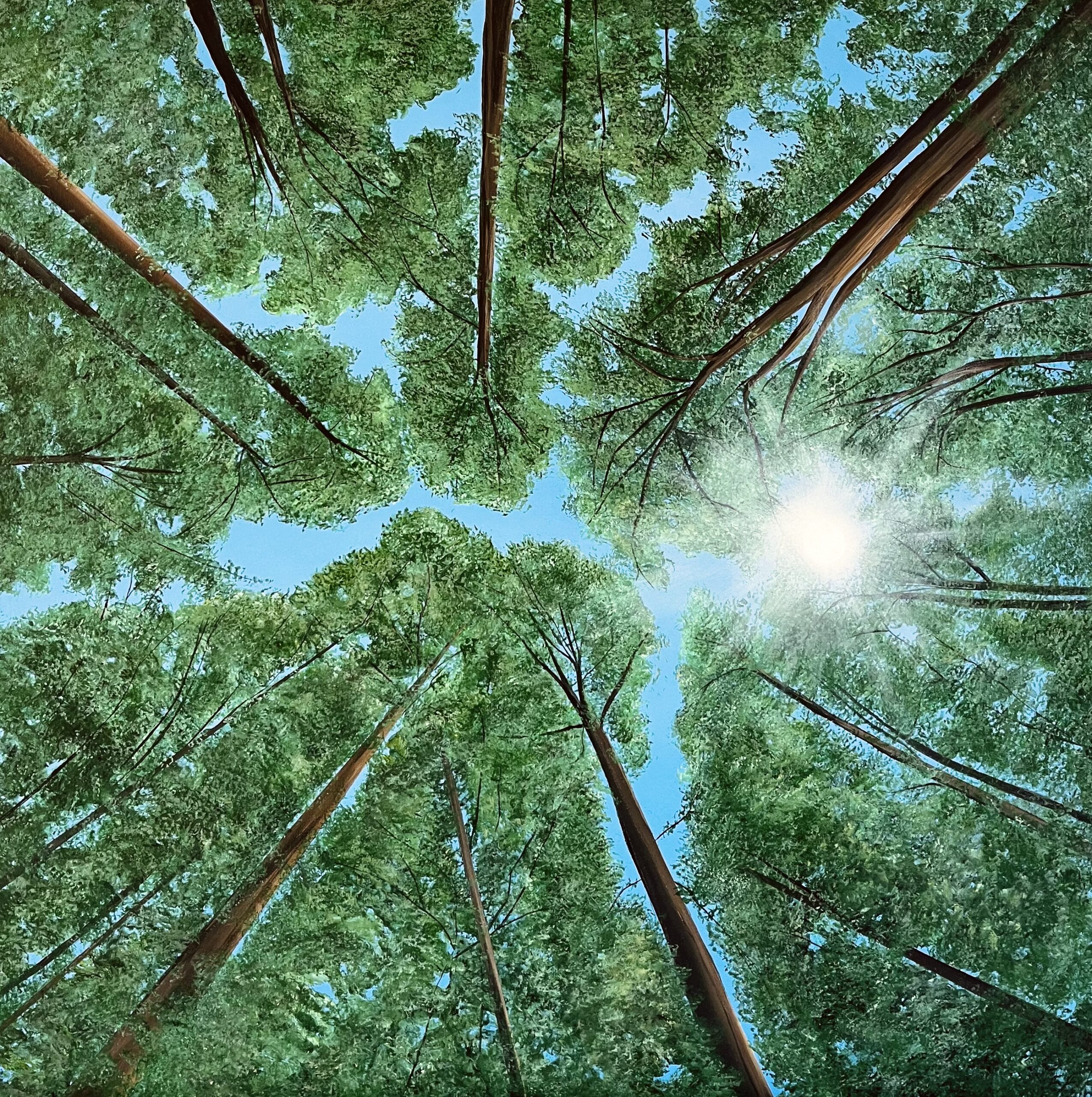 Oil Painting 'Heaven's Eye' 50cm x 50cm