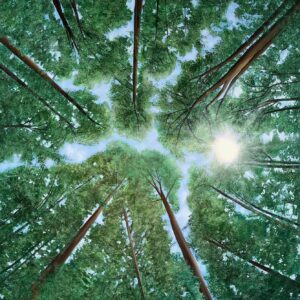 Oil Painting 'Heaven's Eye' 50cm x 50cm