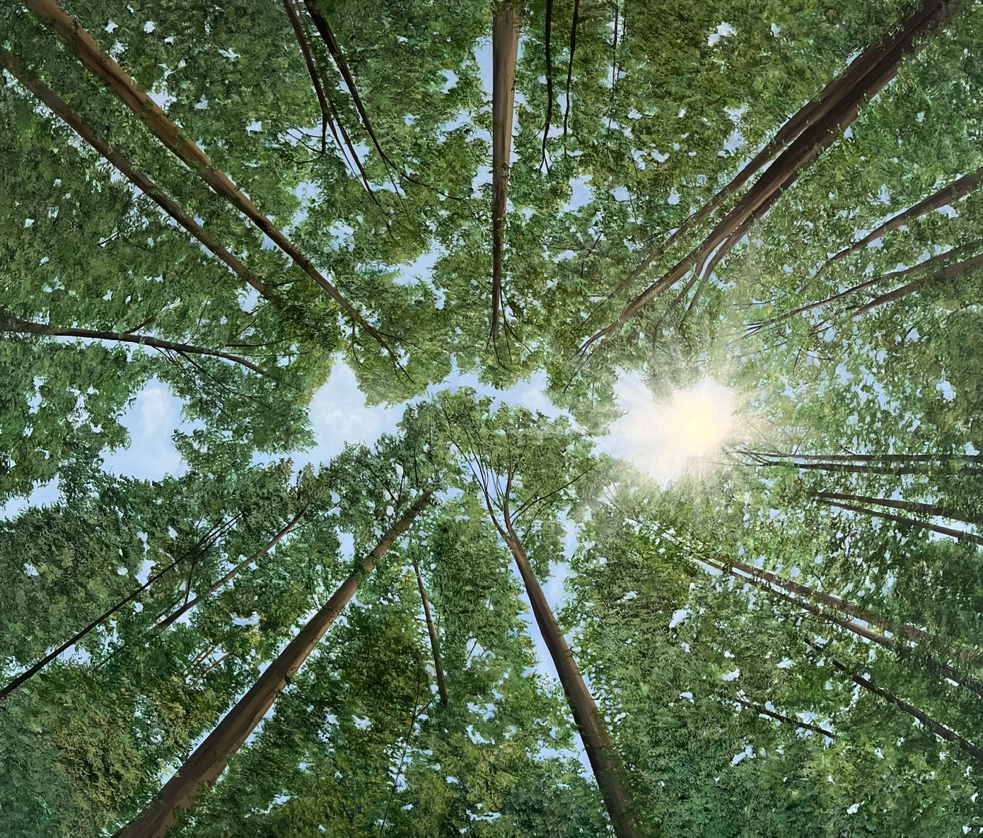 Oil Painting 'Day Star' 70cm x 60cm