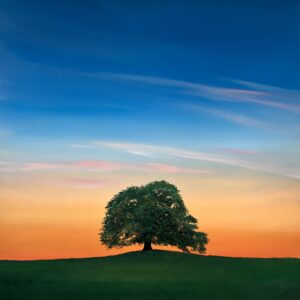 Oil Painting 'The Embrace of Exquisite Stillness' 80cm x 80cm