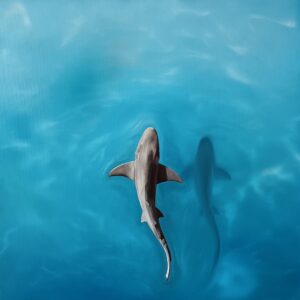 Oil Painting 'Sacred Balance of Nature' 50cm x 50cm